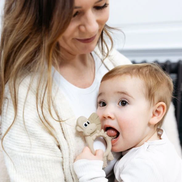 Teething Toy: Dotty the Dinosaur™ - Image 5