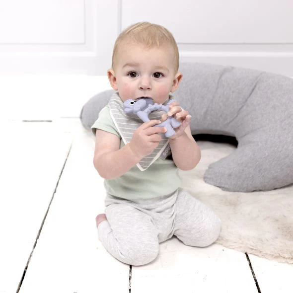 Teething Toy: Dotty the Dinosaur™ - Image 9